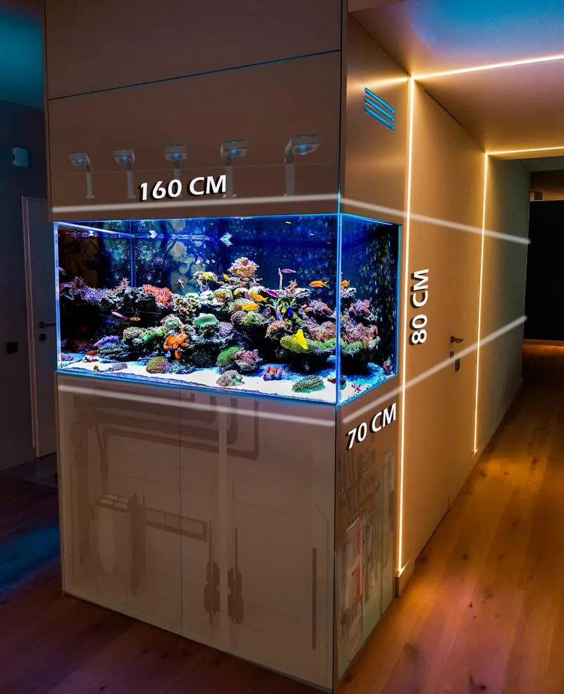 Wydatki na akwarystykę