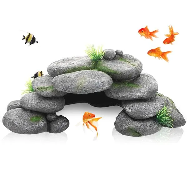 Wymagania akwarium dla żółwia