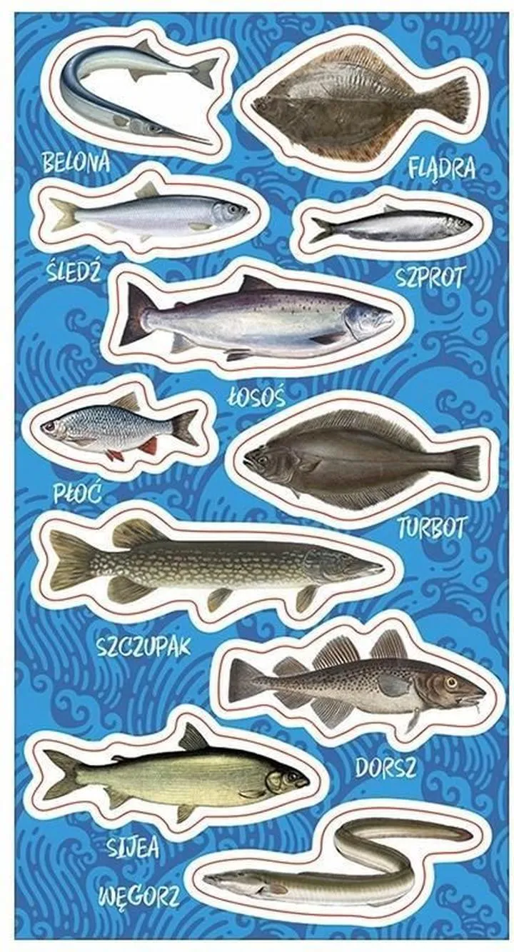 Zanieczyszczenia Bałtyku a ryby