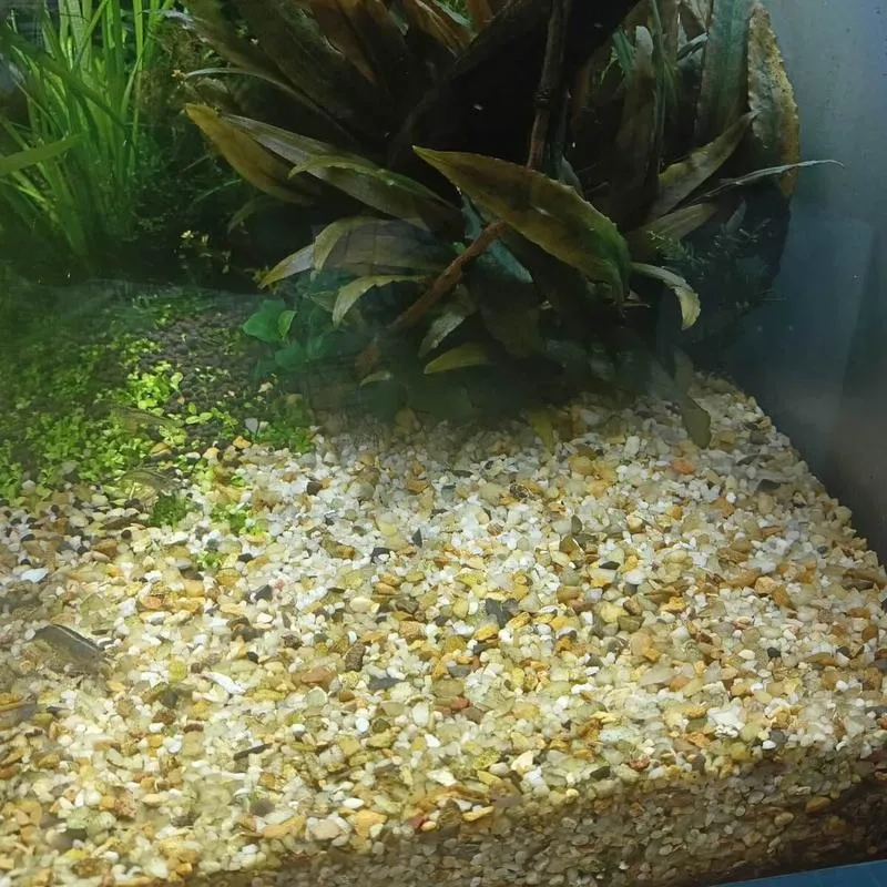 Zasady obliczania objętości podłoża