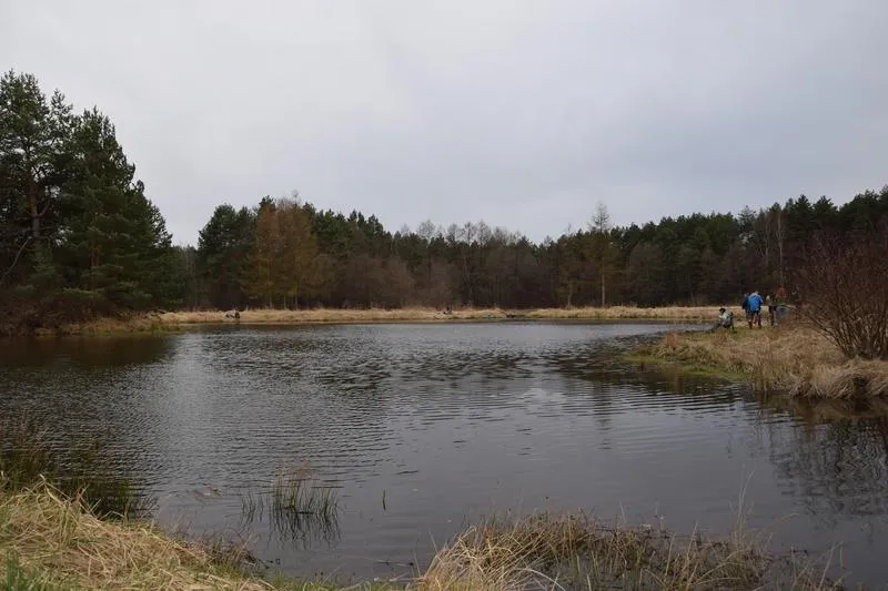 Zbiornik Rybnik wędkowanie