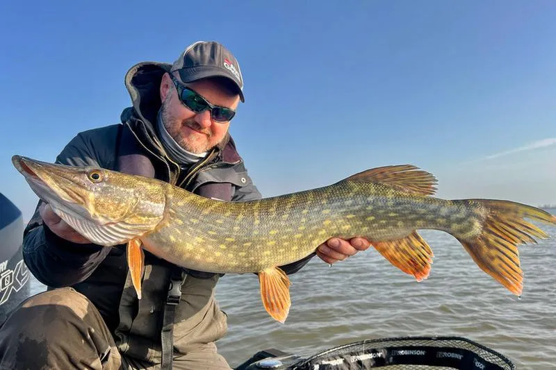 Zezwolenia na połów ryb