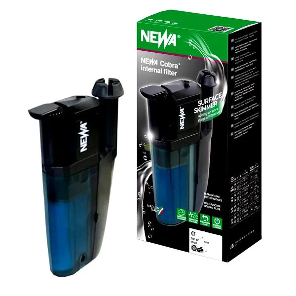 Żółw wodno-lądowy